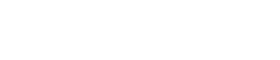 Coding Fury